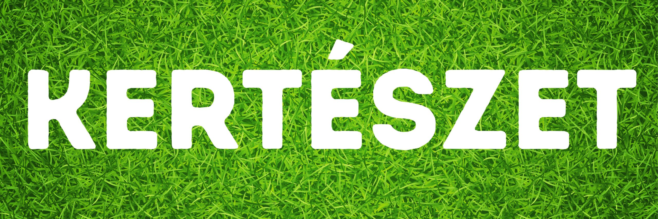 cipőbolt modern dekoráció grafika